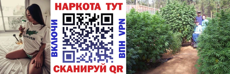 Как найти закладки Динская Бошки Шишки А ПВП Гашиш Меф мяу мяу Cocaine