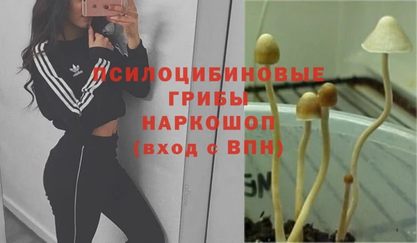 молекула духа Белокуриха