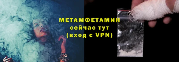 прущие грибы Богданович