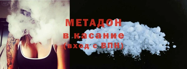 прущие грибы Богданович