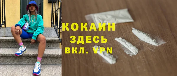 прущие грибы Богданович