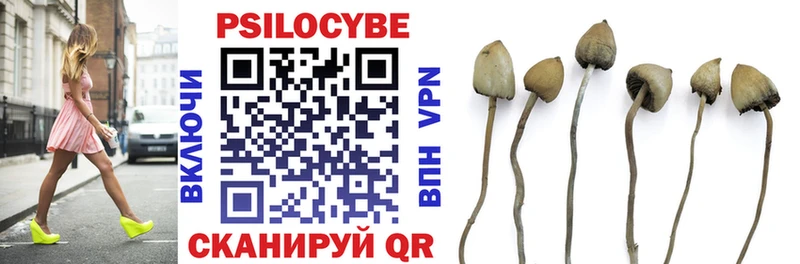 omg как войти  Динская  Псилоцибиновые грибы Psilocybine cubensis 