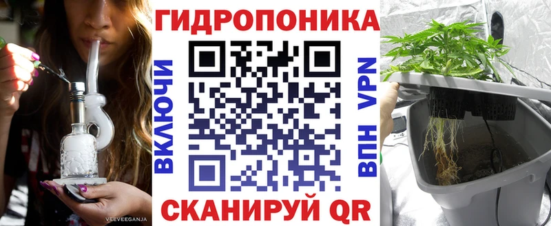 как найти Динская shop какой сайт Канабис AK-47